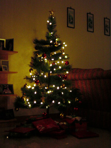 O Christmas tree, how lovely are your branches. We assembled and decorated our tree on Saturday.