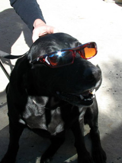 Bonnie, looking extra groovy in sunglasses.
