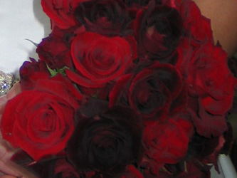 Red, red roses.