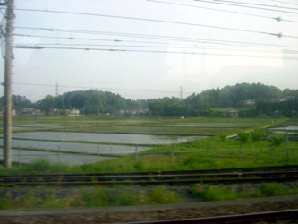 Rice paddies, as seen from the train. I also saw lots of people out walking their dogs, riding bikes and jogging.