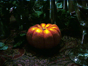 Miniature pumpkin, illuminated by candlelight.