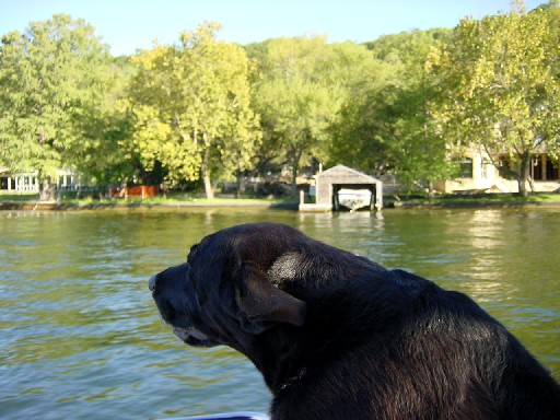 Bonnie bear likes the boat.